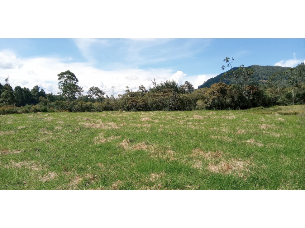 Lote en Venta Sector el Yarumo en La Ceja