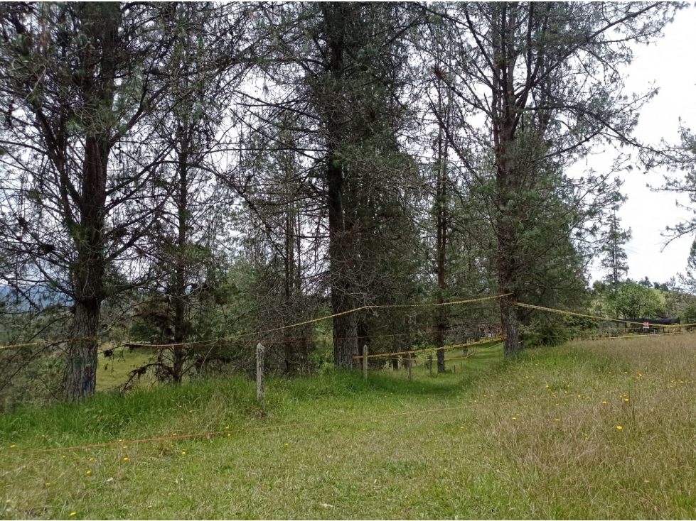 Lote en Venta en Nueva Parcelación en el Retiro - Sector Pantanillo