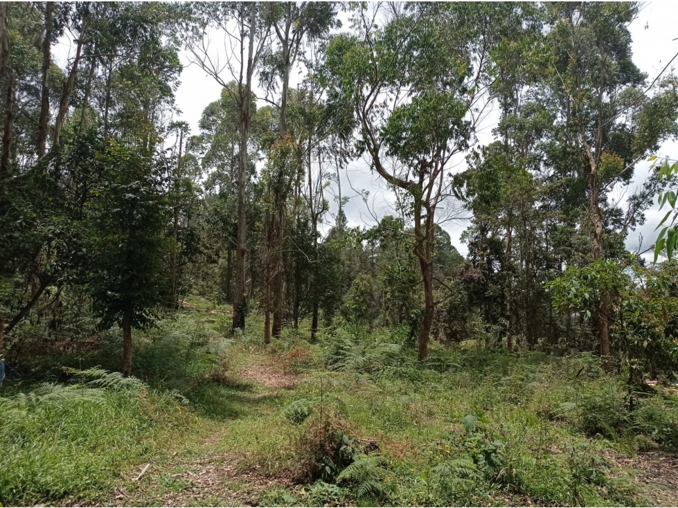 Venta de Lote en Pantanillo - Sector el Retiro desde 580.000.000