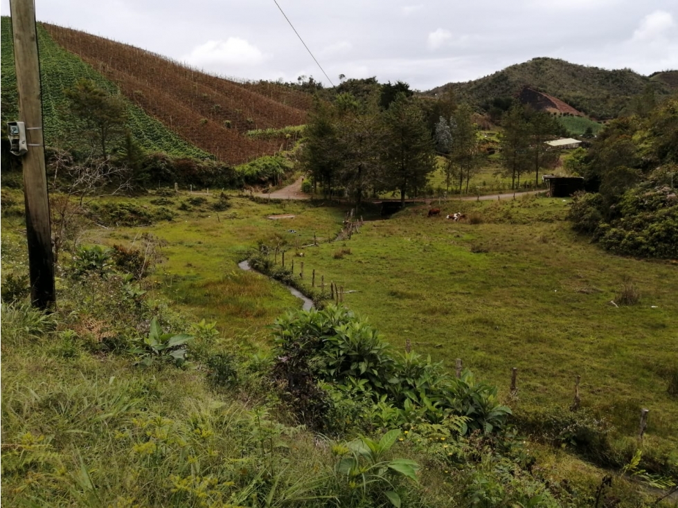 Venta de lote sector Montegrande - San Vicente — foto 2