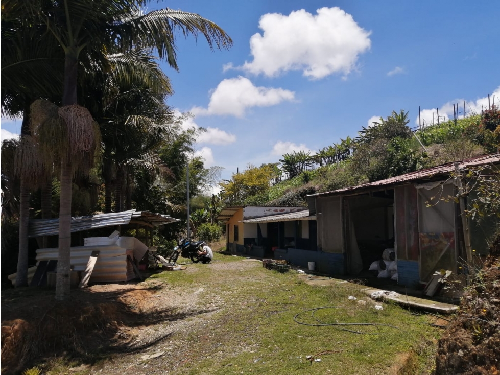 Venta de lote sector Las hojas - San Vicente — foto 4