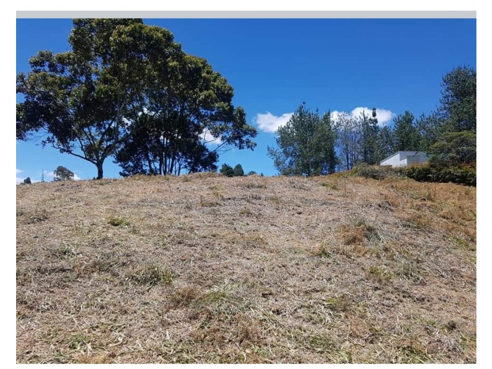 Lote en Venta Cascajo Abajo - Marinilla — foto 3