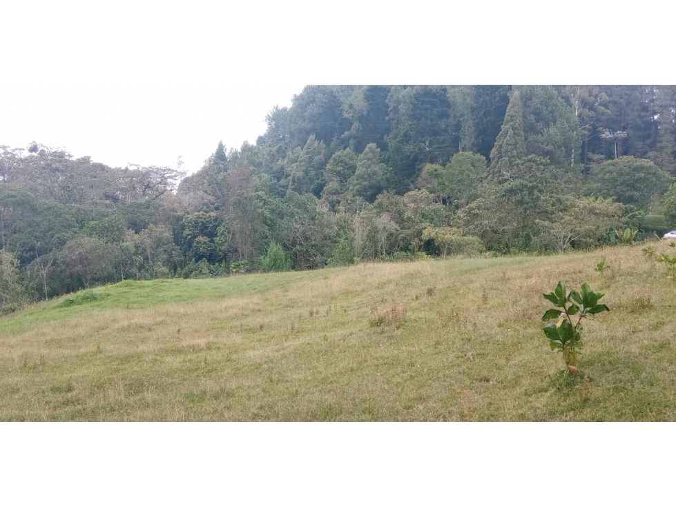 Lote en Venta Sector Indiana - Hacienda Arrayanes — foto 3