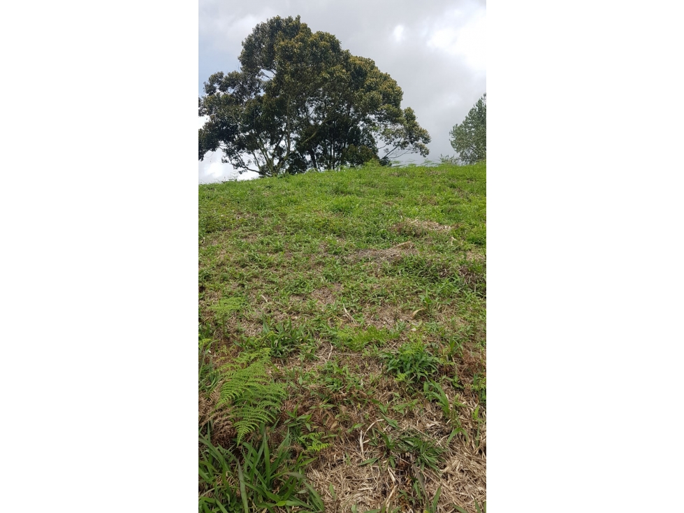Lote en Venta sector Cascajo Abajo - Marinilla — foto 4