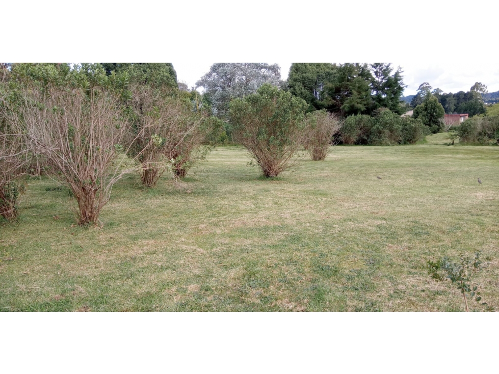 Lote en Venta Sector La Acuarela - Alto de Palmas en Envigado — foto 3