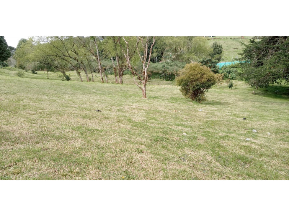 Lote en Venta Sector La Acuarela, Alto de Palmas - Envigado — foto 3