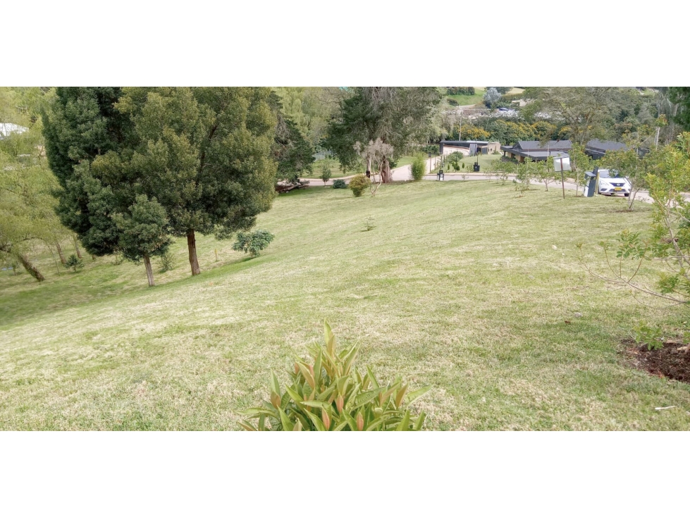 Lote en Venta Sector La Acuarela, Alto de Palmas - Envigado — foto 3