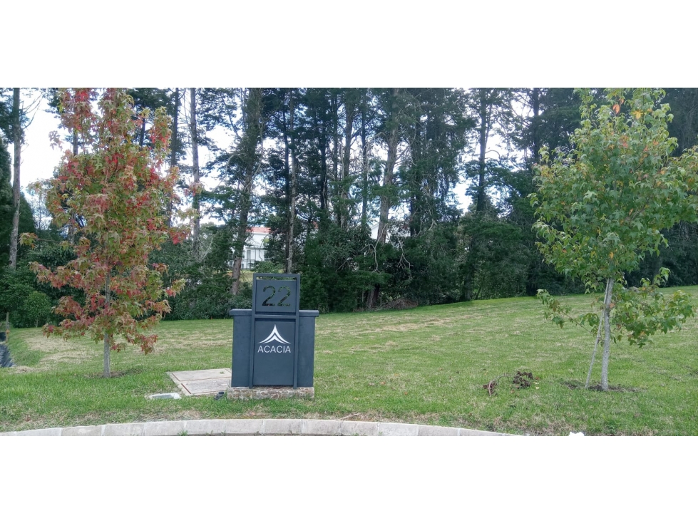 Lote en Venta Sector La Acuarela - Alto de Palmas en Envigado — foto 3