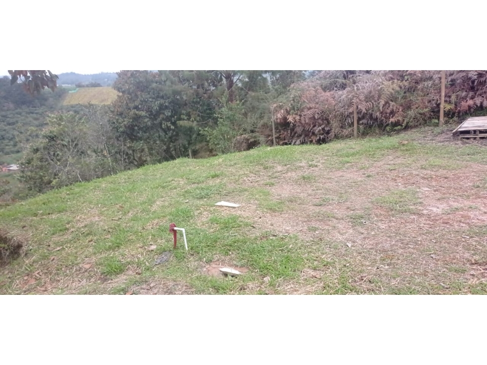 Lote en Venta Sector Alto del Beque - San Vicente — foto 4
