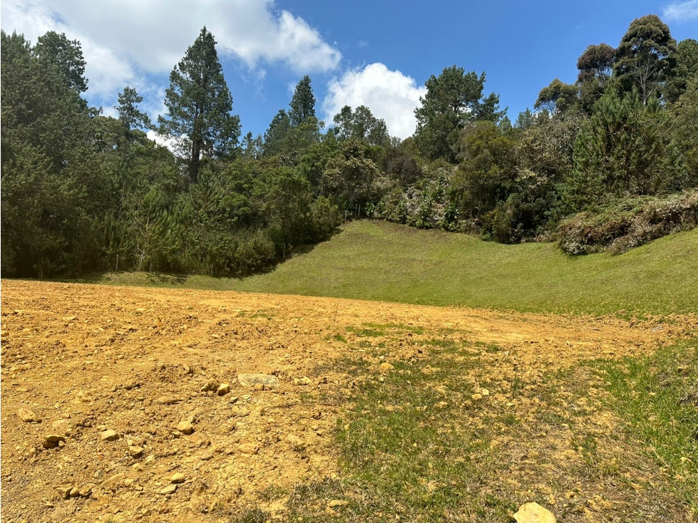 Hermoso Lote en Venta Sector Alto de Palmas - Envigado — foto 5