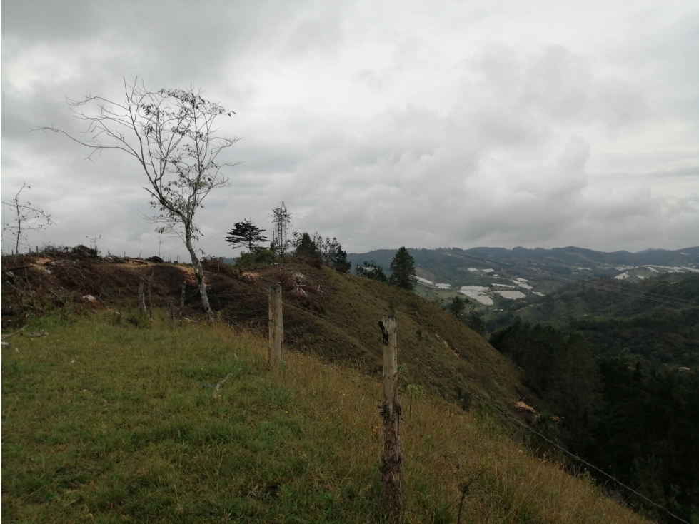 Lote en Venta Sector La Mejia - Guarne — foto 3