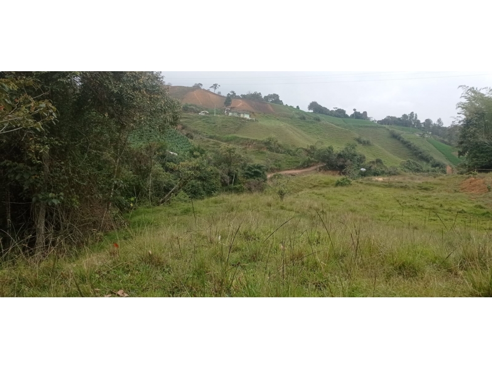 Hermoso Lote en Venta Sector Vereda el Morillo - Santuario — foto 4
