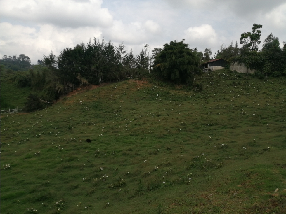 Lote en Venta Sector Ojo de Agua en Rionegro — foto 3