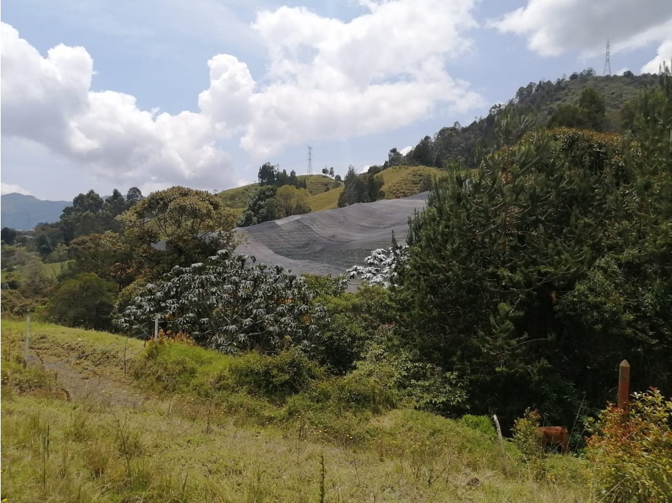 Lote en Venta Sector El Cerro Carmen de Viboral — foto 3