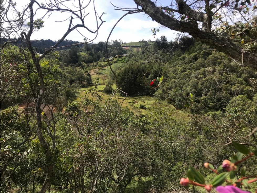 Lote en Venta con Vista al Valle de Chaparral, San Vicente — foto 3