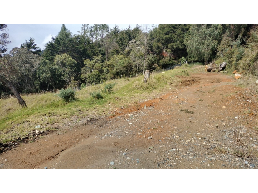 Lote en Refugio Natural Sector Alto de las Palmas, Envigado — foto 3