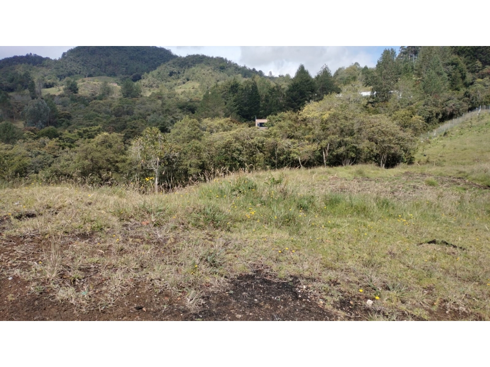 Lote en Exclusivo Sector en Alto de Palmas, Envigado — foto 3
