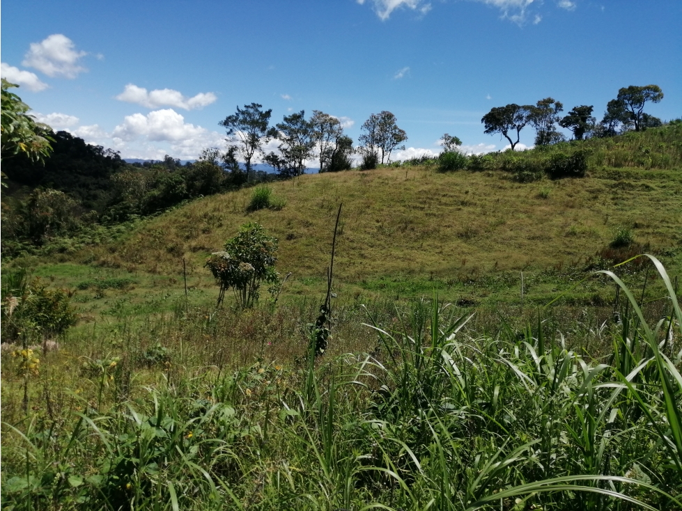 Lote en Venta Sector Chocho Mayo, en Marinilla Antioquia — foto 3