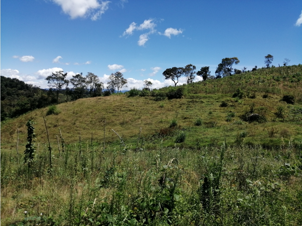 Lote Sector Alto del Chocho en Marinilla — foto 3