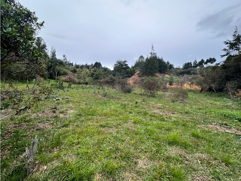 Lote Urbano Sector Vía Aeropuerto Hacia Autopista Medellín - Bogotá — foto 3