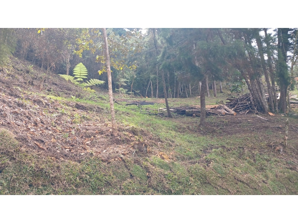 Lote Campestre en Puente Pelaez en el Retiro Antioquia — foto 3