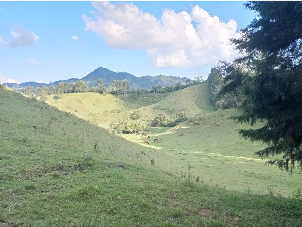 Lote en Venta en Proyecto de Parcelación del Retiro — foto 3