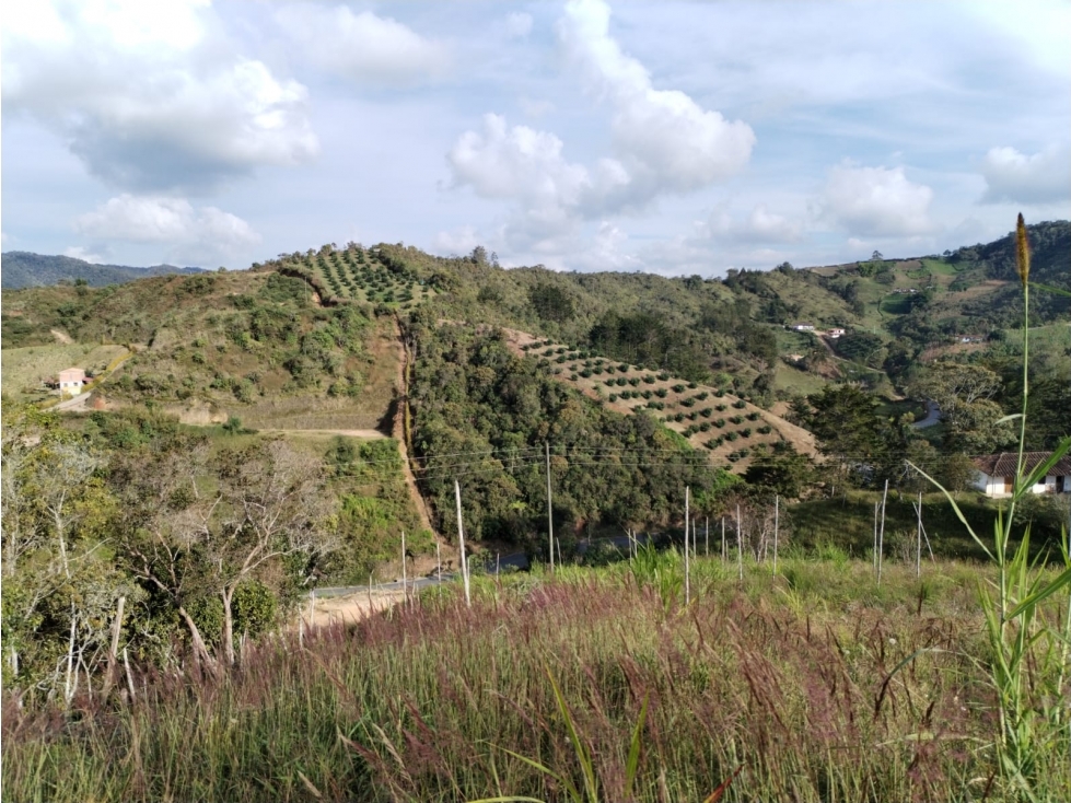 Lote con Hermosa Vista, Sector la Magdalena en San Vicente — foto 4