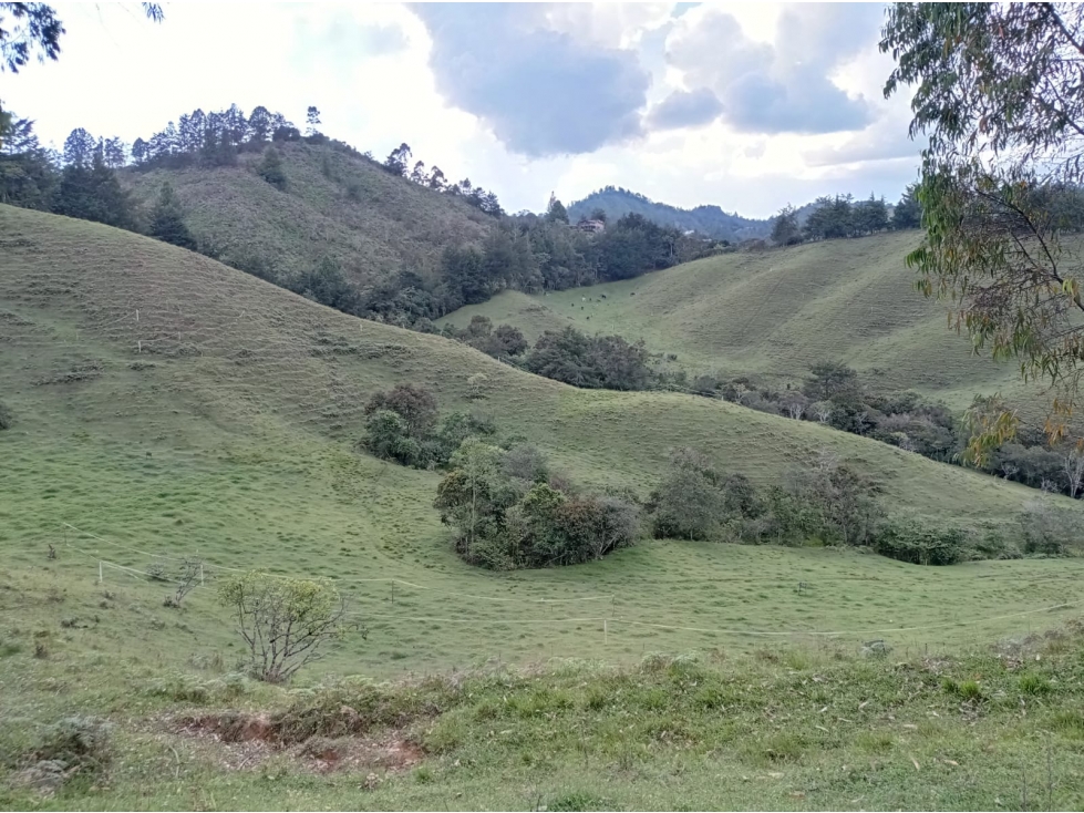 Lote en Venta en Proyecto Exclusivo, en el Retiro Sector el Chuscal — foto 3