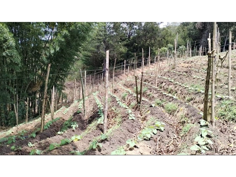 Lote en Parcelación en Venta, en San Vicente — foto 3
