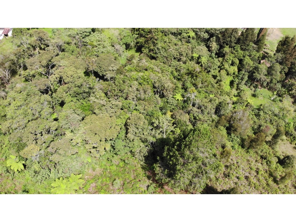 Lote en Venta, Sector Variante Palmas- Vía Aeropuerto, Envigado — foto 3