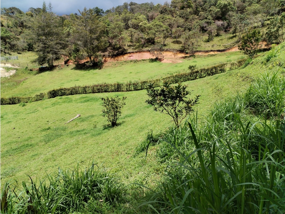 Lote Campestre en Venta, Vereda San Ignacio, San Vicente — foto 3