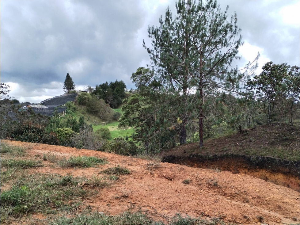 Lote en Venta en Parcelación Campestre en San Vicente Ferrer — foto 3