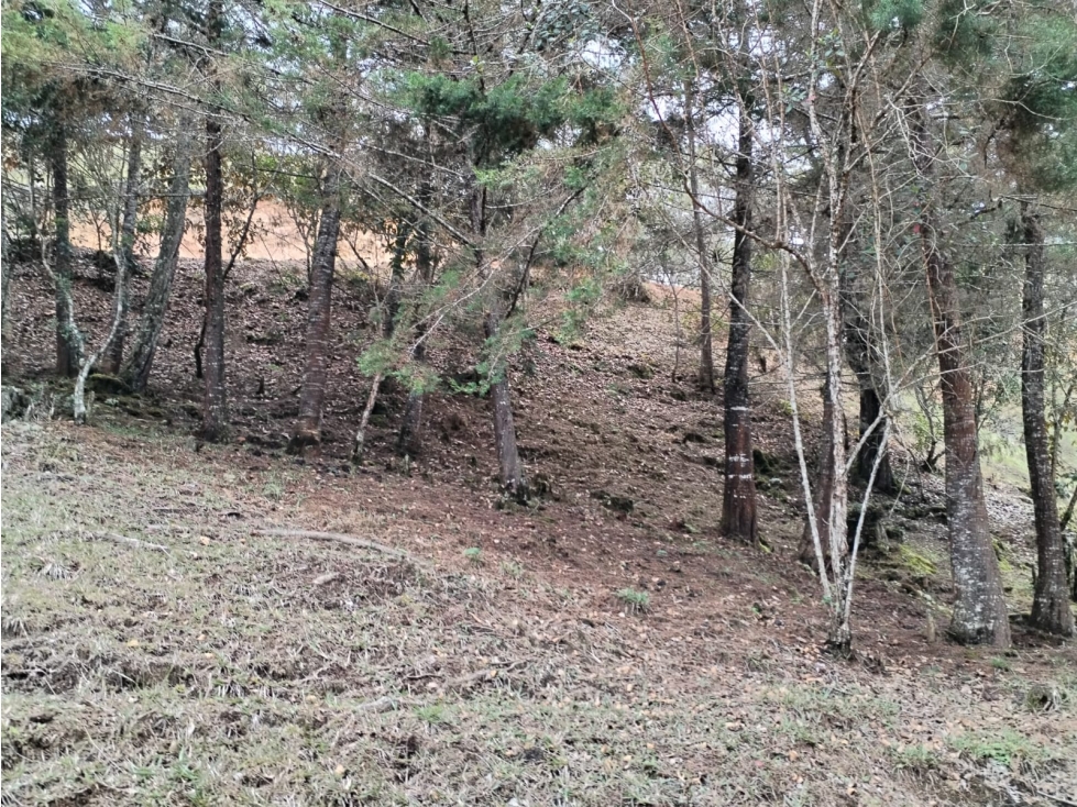 Lote en Venta en Parcelación Sector San Ignacio en San Vicente — foto 3
