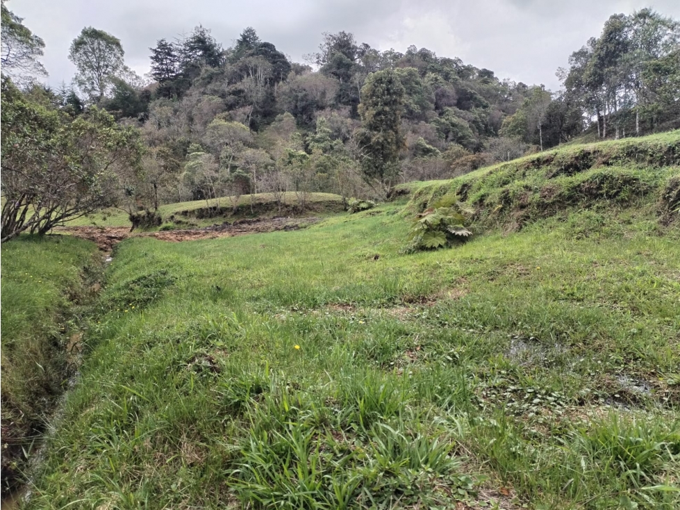 Lote Campestre en Venta Sector San Ignacio en San Vicente — foto 3