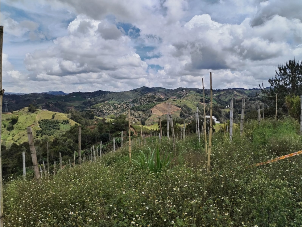 Lote en Venta, Sector la Floresta en San Vicente Ferrer — foto 3