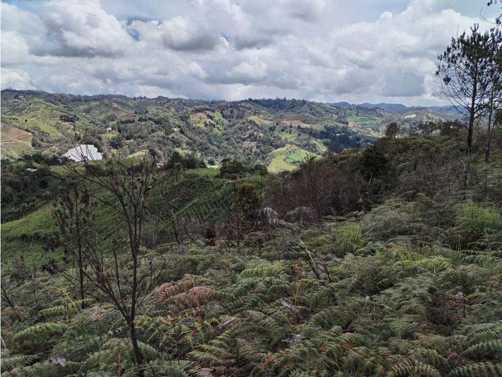 Lote en Venta en Zona Campestre, Sector la Floresta en San Vicente — foto 3