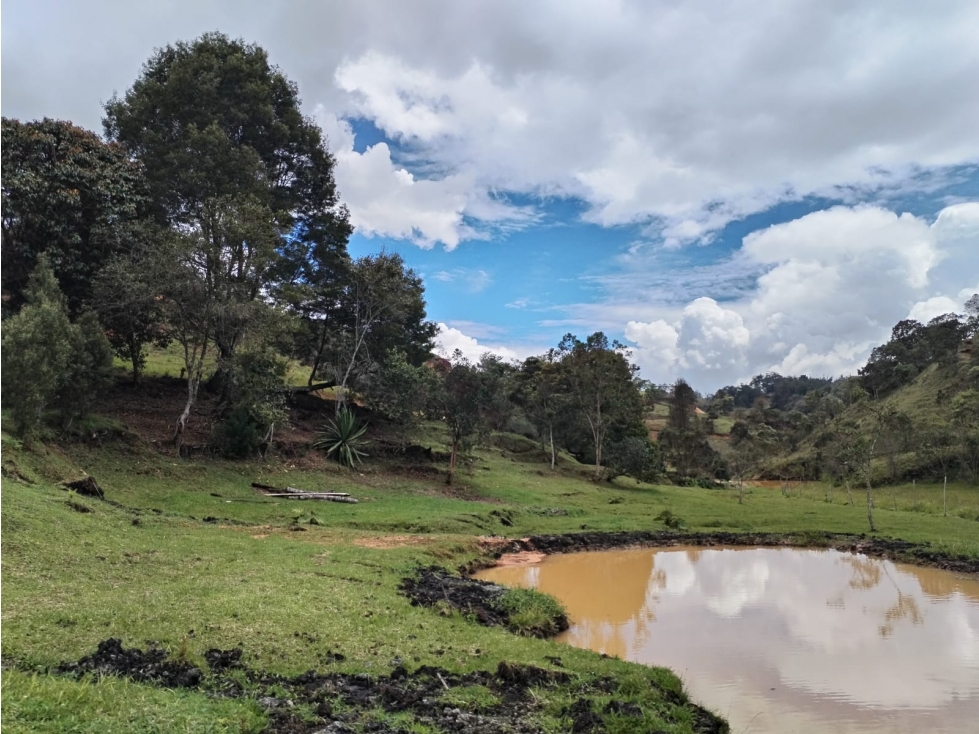 Lote en Venta Sector Vereda San Ignacio, San Vicente Ferrer — foto 3