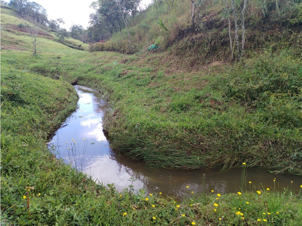 Lote en Parcelación Campestre, Vereda San Ignacio, San Vicente — foto 3
