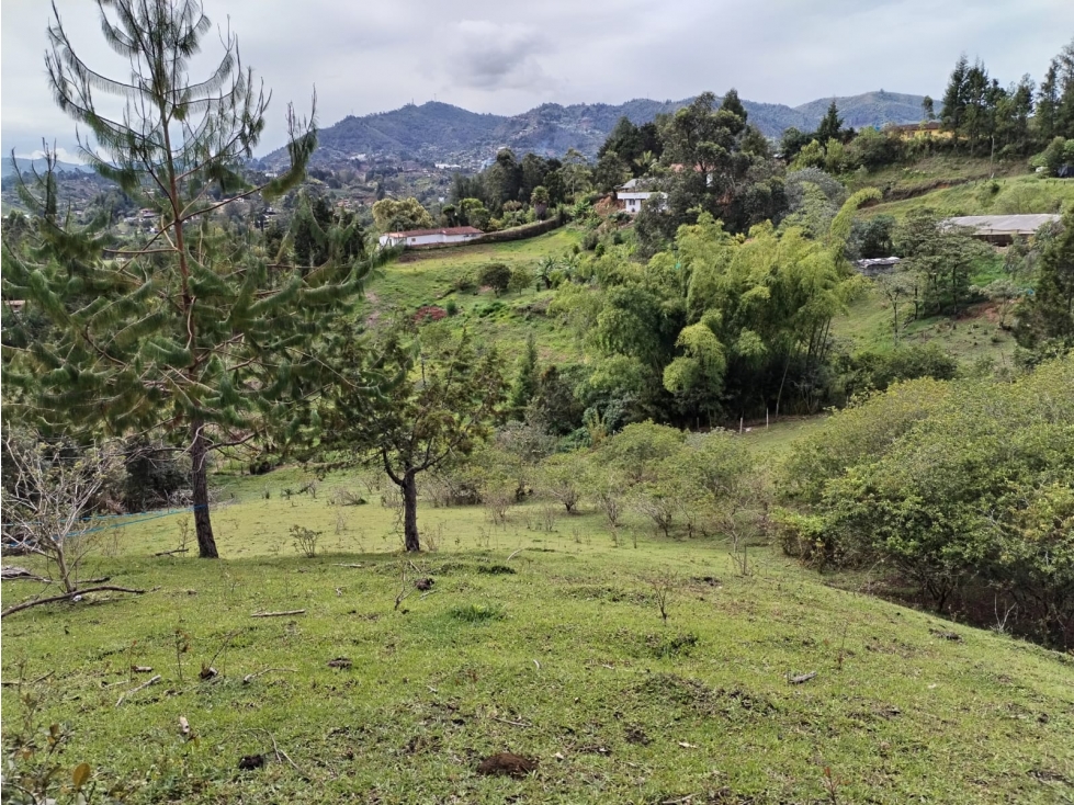 Lote Campestre en Venta, Sector Guamito, Guarne — foto 3