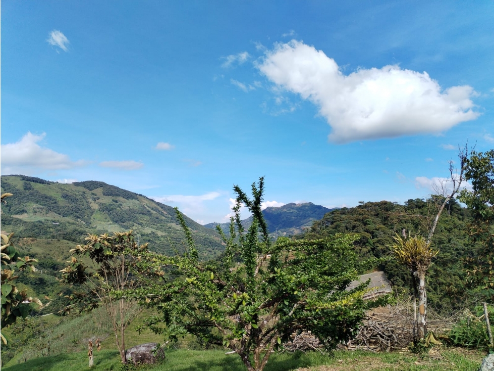 ¡Excelente Oportunidad! Lote en Venta Sector Los Cedros, CocornÃ¡ — foto 2
