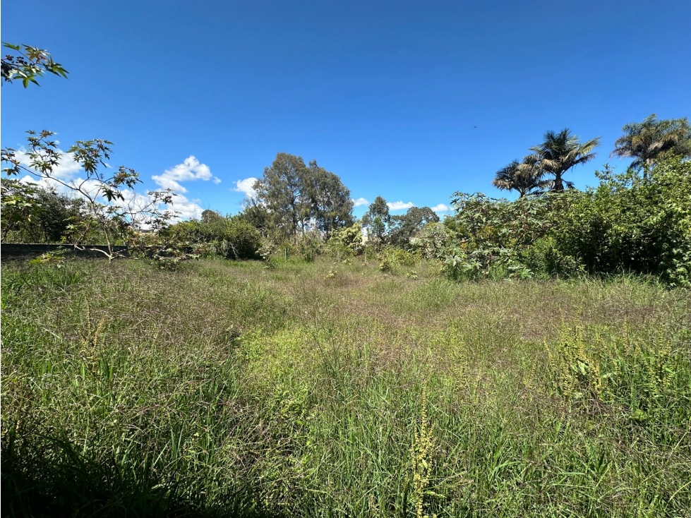 Lote en Venta Sector Sajonia, Rionegro — foto 3