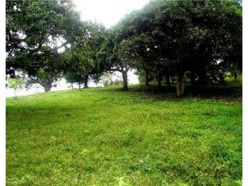 Lote en Venta Sector El Alvarado Copacabana — foto 3