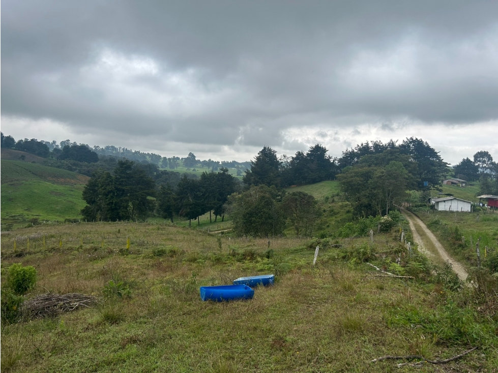Lote en Venta Vereda el Espinal, San Pedro de Los Milagros — foto 3