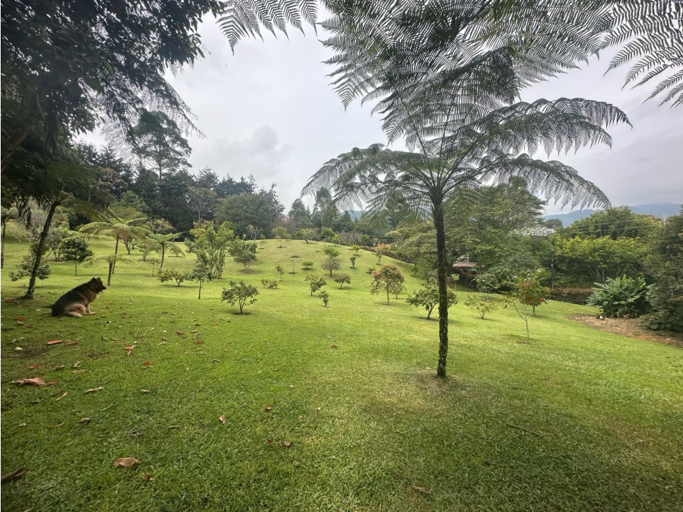 Lote en Venta, Sector La Querencia, Rionegro — foto 3