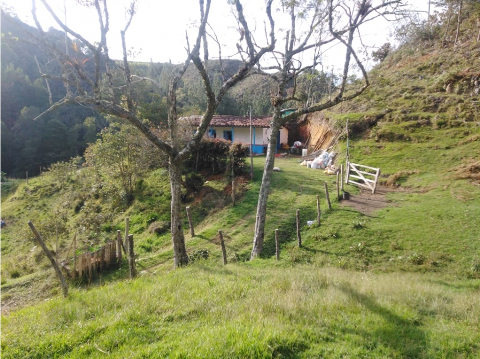 Casa Lote en Venta, Vereda Yolombal, Guarne — foto 3
