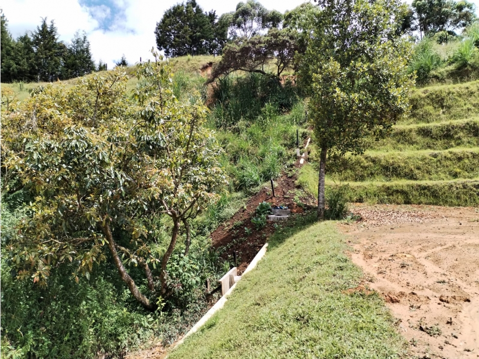 Lote en venta La Mejía, Guarne tranquilidad y vista garantizadas — foto 3