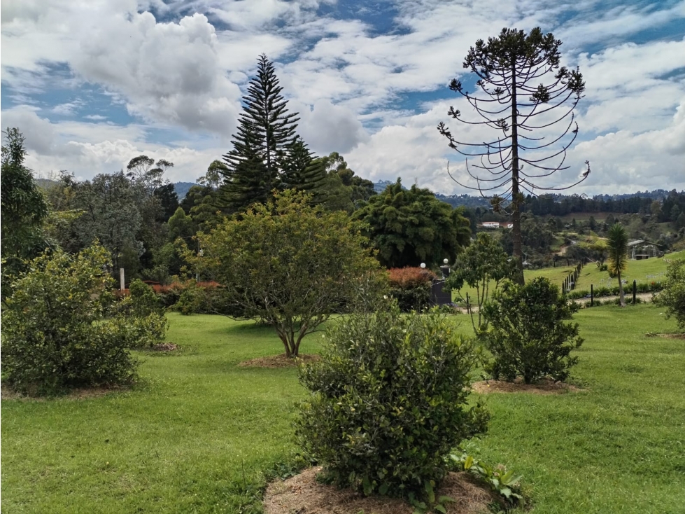 Lote en venta, Excelente ubicación y topografía, La Mejía - Guarne — foto 3