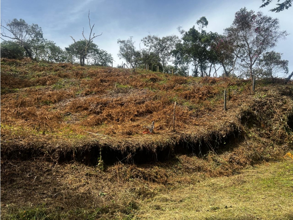 Lote en venta, sector San Joaquín, Ojo de Agua, Rionegro — foto 3