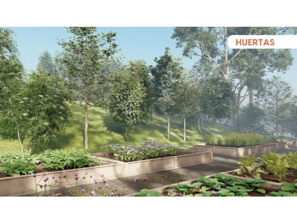 Lote en venta sector Flor del Trigo, El Carmen de Viboral — foto 3
