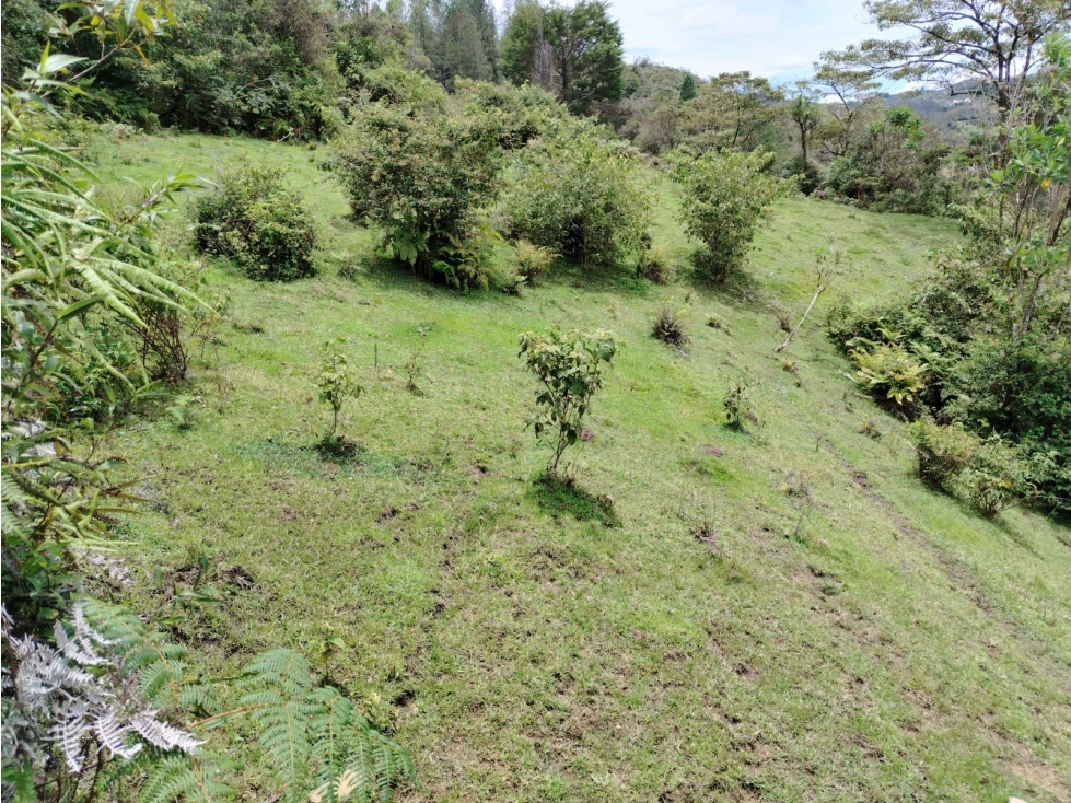 Casa lote en venta, sector La Magdalena, San Vicente — foto 3